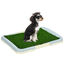 PawHut Inodoro para Perros Arenero para Perros con Césped Artificial Rejilla y Bandeja Desmontable para Entrenamiento de Cachorros en Exterior e Interior 63x48,5x6 cm Multicolor, , large indicador imagen numero 1