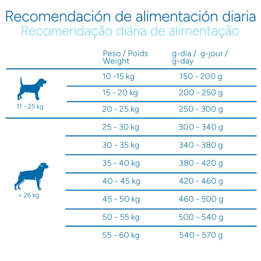 Criadores Cient&iacute;fico Senior Sensitive Medium-Maxi Pienso Salm&oacute;n para perros, , large Imagen numero 9