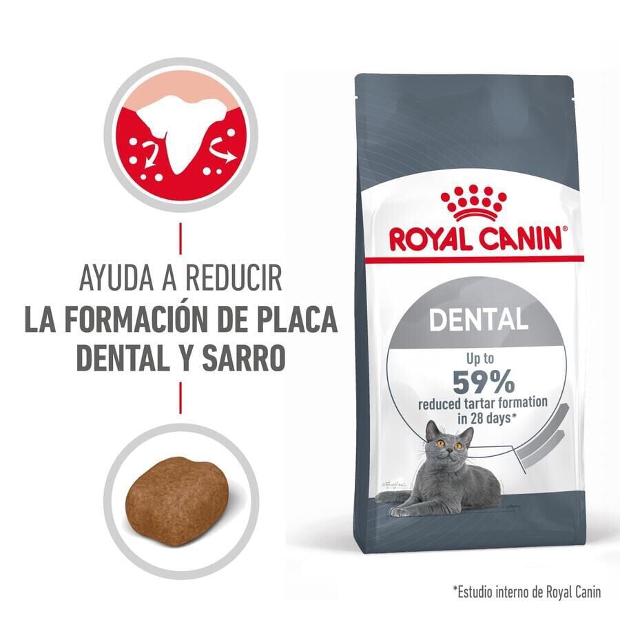 Royal Canin Adult Oral pienso para gatos thumbnail