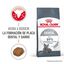 8 kg Royal Canin Adult Oral pienso para gatos, , large indicador imagen numero 2