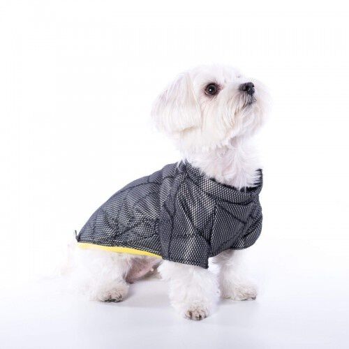 Anorak para perros Groc Groc Chiu Rock negro y plata, , large Imagen numero 2