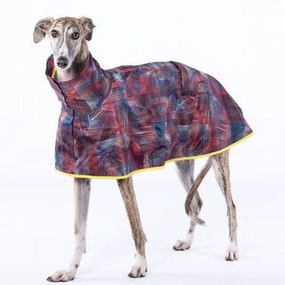 Groc Groc Aldo Chubasquero capa para galgos