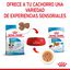 85 g Royal Canin Mini Puppy sobre en salsa, , large indicador imagen numero 5