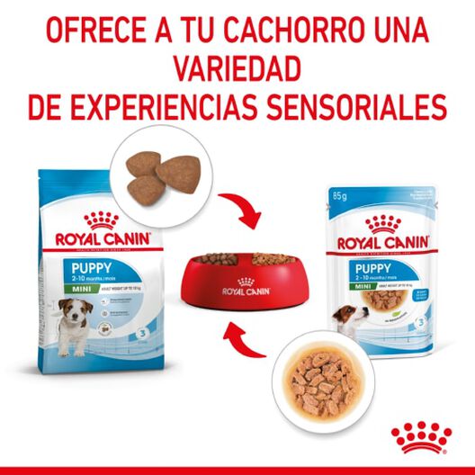 Royal Canin Mini Puppy sobre en salsa, , large image number null