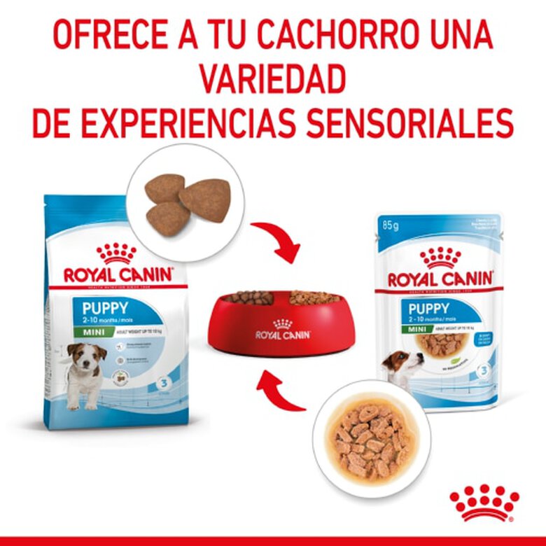 Royal Canin Mini Puppy sobre en salsa, , large image number null