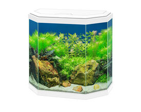 Ciano acuarios Aqua 30 Led Blanco