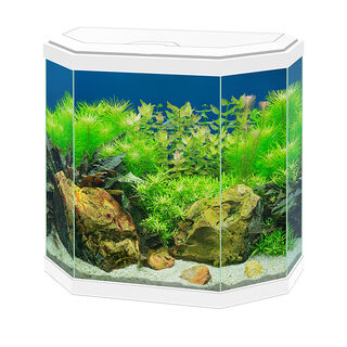 Ciano acuarios Aqua 30 Led Blanco