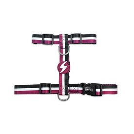 Dashi Arnés Stripes Púrpura & Negro Pequeño para perros