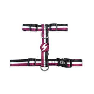 Dashi Arnés Stripes Púrpura & Negro Pequeño para perros