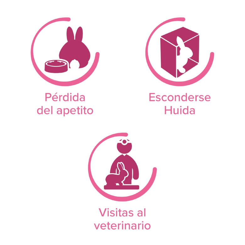 Beaphar RabbitComfort Spray Tranquilizante para conejos thumbnail