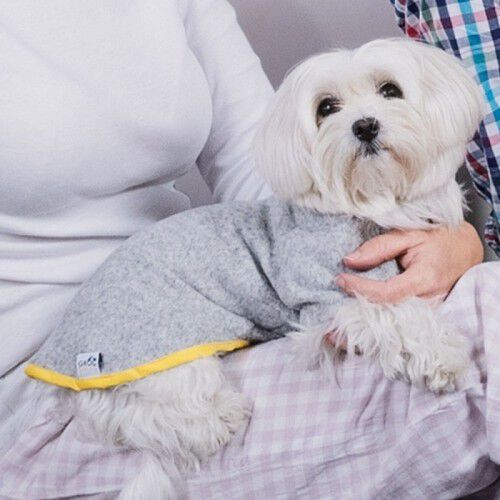Camiseta Nun Home para perros color Gris, , large Imagen numero 2