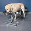 Comedero elevado para perros color Plateado, , large indicador imagen numero 3