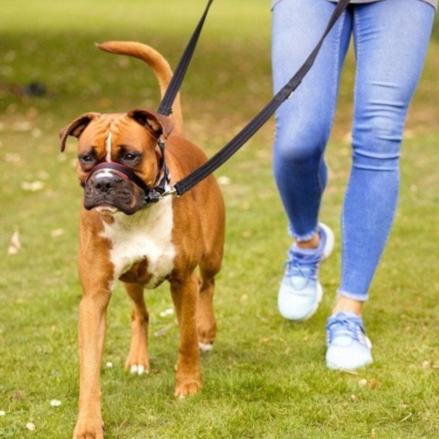 Halti Optifit collar antitirones negro para perros thumbnail