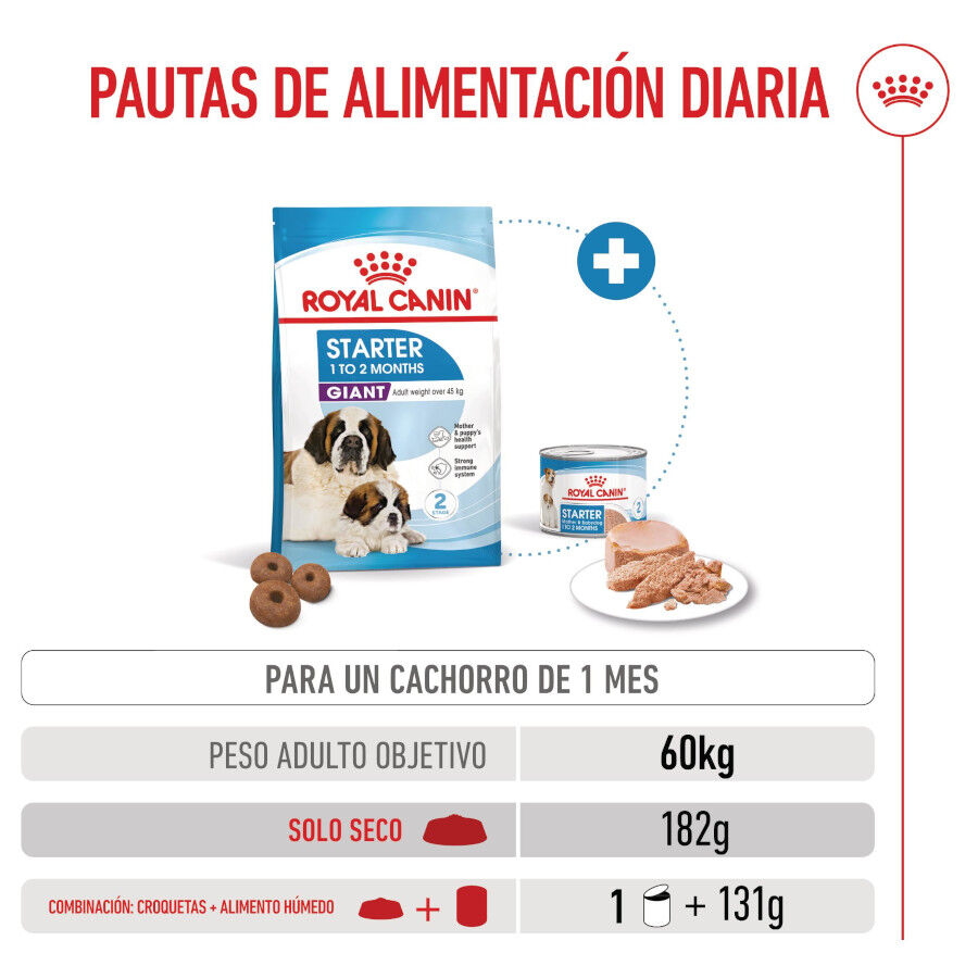 15 kg Royal Canin Starter Puppy Giant Pienso para perros, , large Imagen numero 8