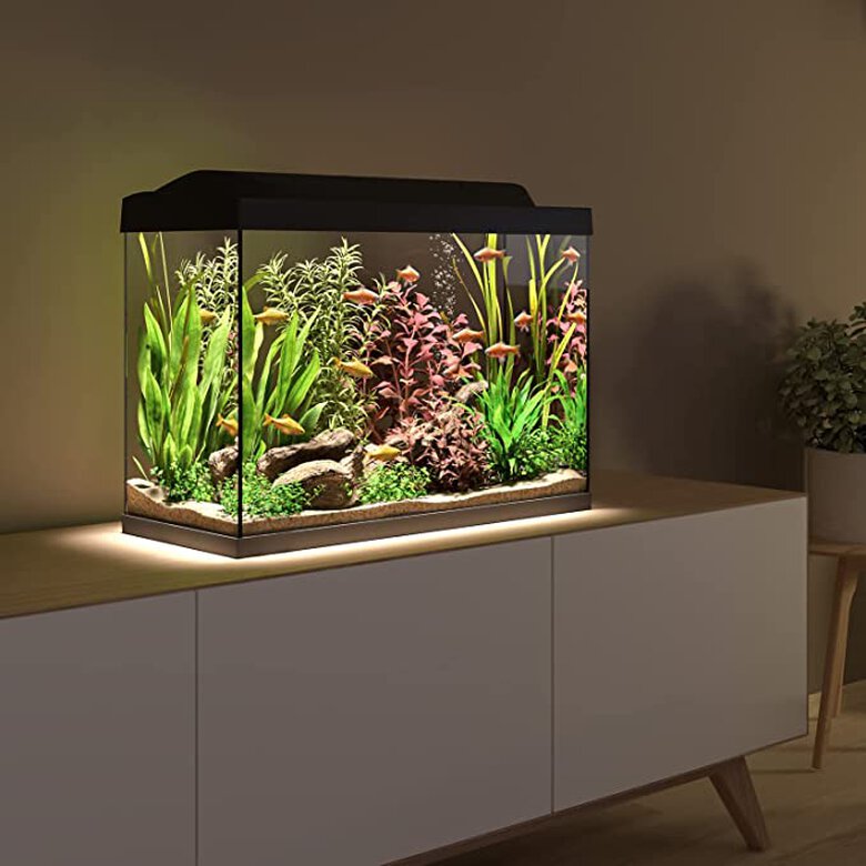 Kit Tetra Starter Line LED Diurna/Nocturna Acuario 80L, , large image number null