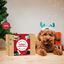 Caja Regalo Navidad para perros - Lote de snacks + Aceite de salmón, , large indicador imagen numero 2