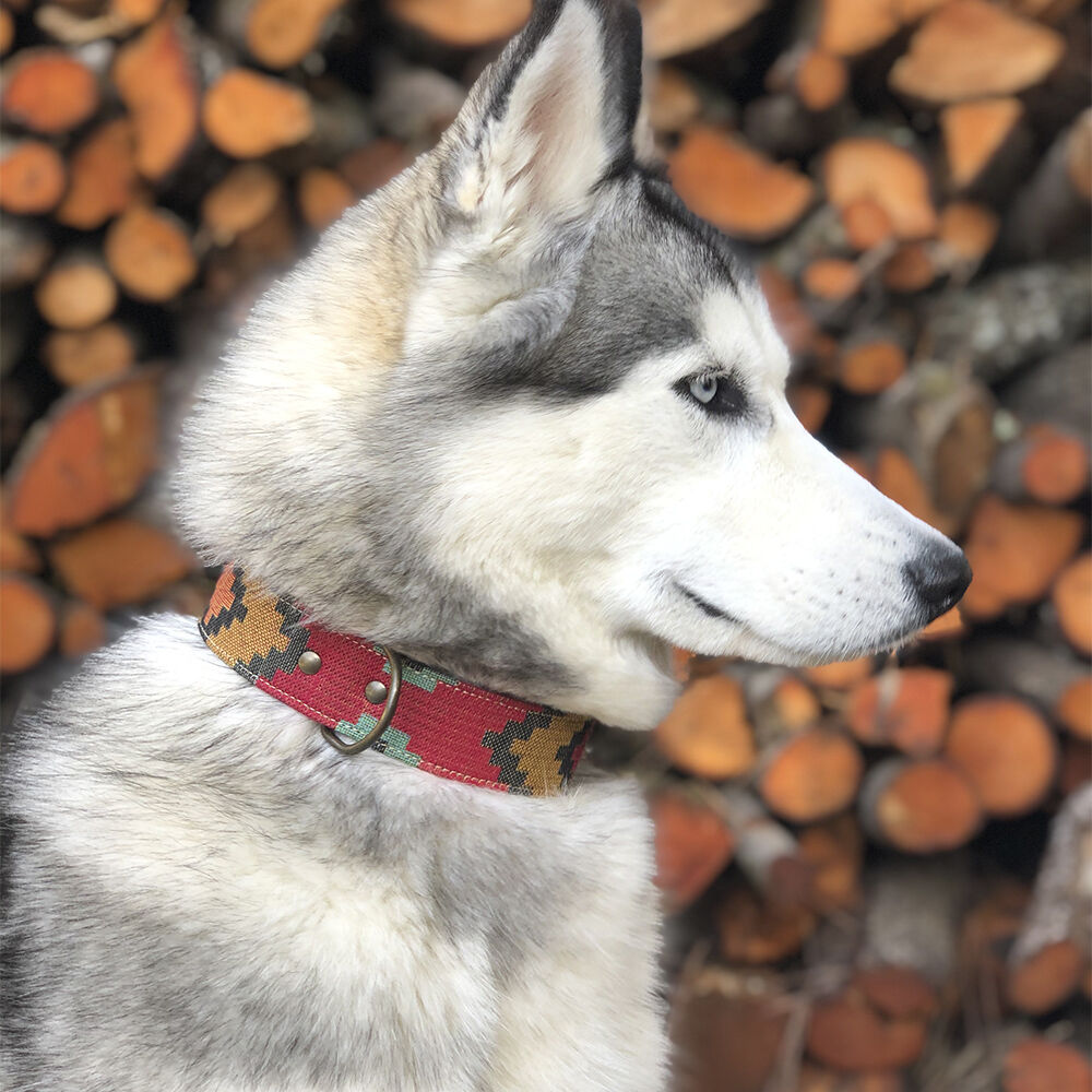 Ladran Gaucho Collar Scooby Doo hecho a mano para perros, , large Imagen numero 2