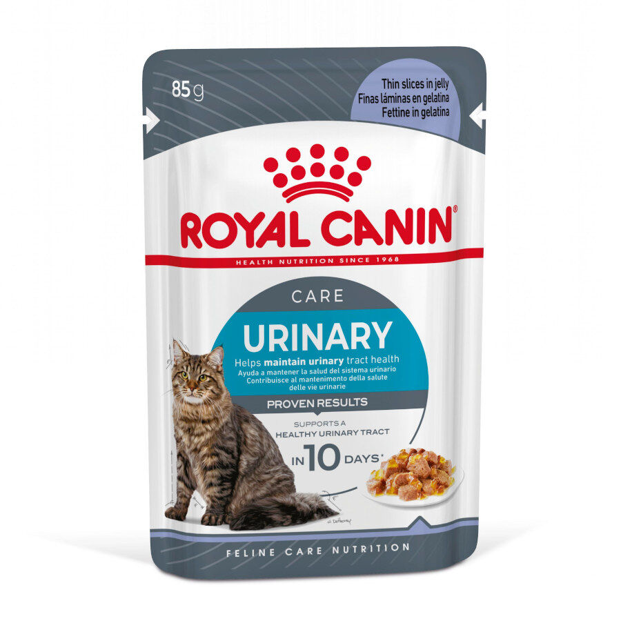 Royal Canin Urinary Care Sobre en Gelatina para gatos thumbnail