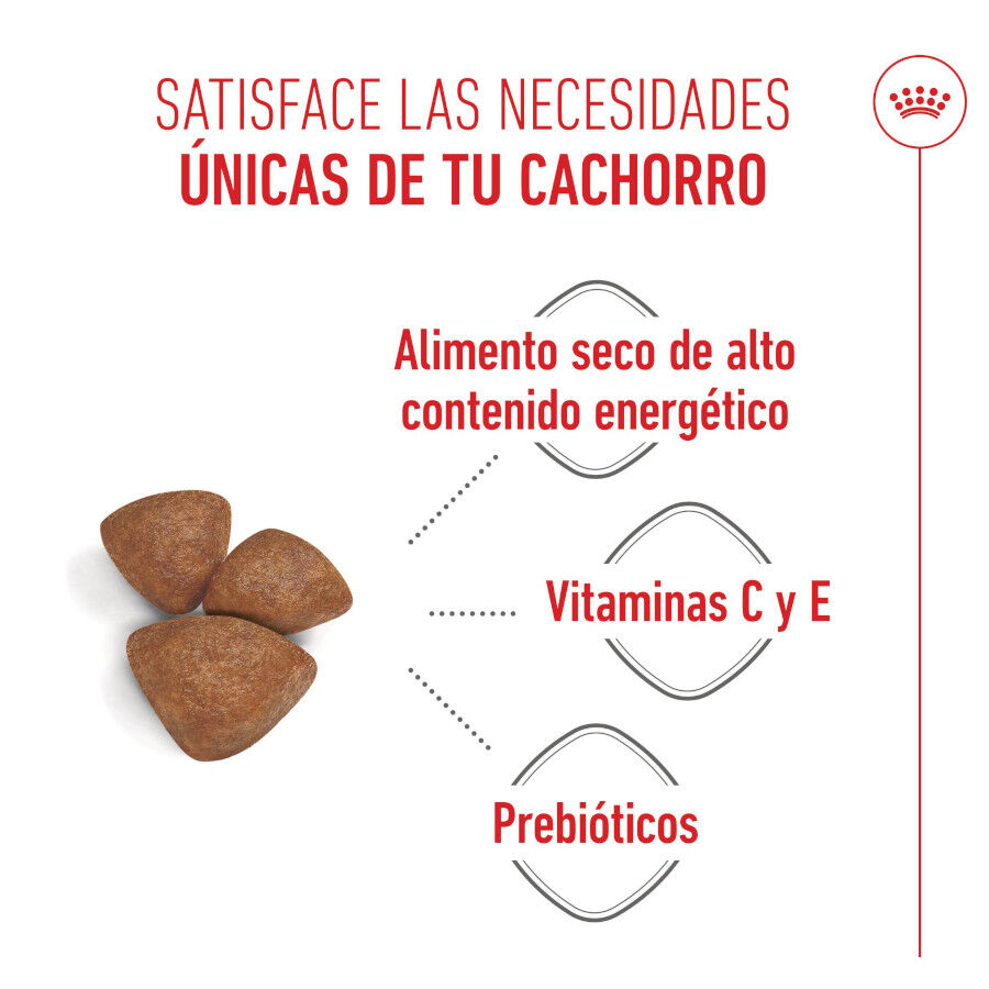 Royal Canin Starter MotheryBaby Mini pienso para perros thumbnail