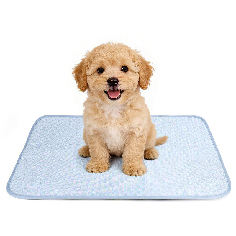 Nobleza Alfombra Refrescante para Perros y Gatos con Tecnolog&iacute;a QMAX>0.5 &ndash; Tejido &ldquo;Bumpy&rdquo; de Secado R&aacute;pido, Antimordedura, Lavable a M&aacute;quina &ndash; 110x70cm &ndash; Azul, , large Imagen numero 6