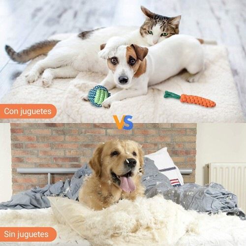 Set juguetes para perro color Multicolor, , large Imagen numero 2