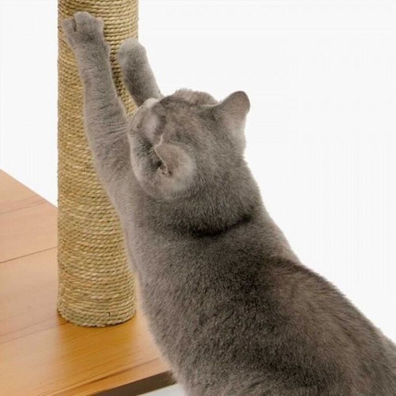 Vesper V-Base Rascador Con Juguete para gatos thumbnail