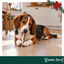 4 uds. Wonder Christmas Palitos con Pescado Snacks para perros, , large indicador imagen numero 2