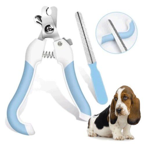 Cortau&ntilde;as para mascotas color Azul, , large Imagen numero 2