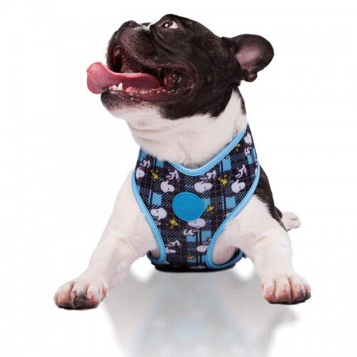 Zooz arn&eacute;s snoopy azul, , large Imagen numero 1