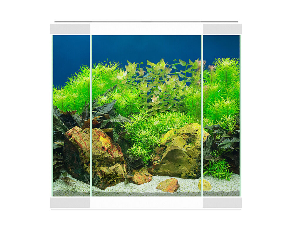 Aqua 30 Led Blanco Ciano - Set completo con LED, Filtro y Consumibles, , large Imagen numero 2