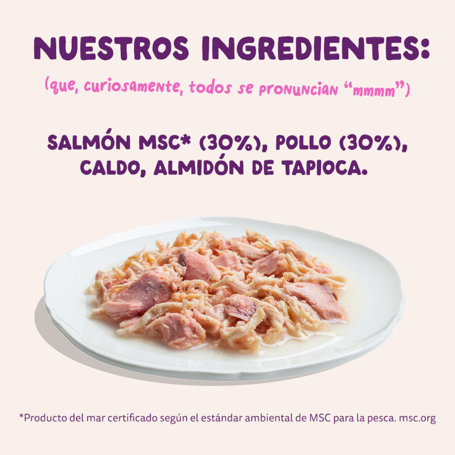 70 g Edgard & Cooper Filetes de Salm&oacute;n y Pollo Lata para gatos, , large Imagen numero 6