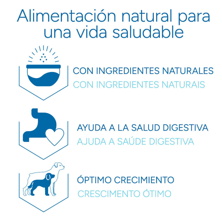 Criadores Cient&iacute;fico Medium Maxi Pienso Pollo para cachorros, , large Imagen numero 6