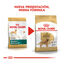 12 kg Royal Canin Adult Golden Retriever pienso para perros, , large indicador imagen numero 3