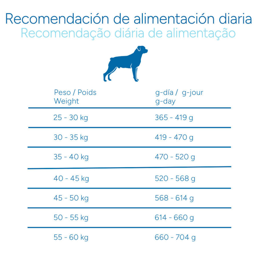 Criadores Cient&iacute;fico Adulto Maxi Pienso Pollo para perros, , large Imagen numero 9