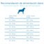 Criadores Cient&iacute;fico Adulto Maxi Pienso Pollo para perros, , large indicador imagen numero 9