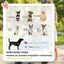 PawHut Cochecito para Mascota Gris, , large indicador imagen numero 4