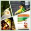 Avianvet Carbón Activo Suplemento para aves (300 g), , large indicador imagen numero 3