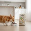 2 kg Dibaq Sense Low Grain Adult Mini Pollo Pienso para perros, , large indicador imagen numero 4