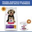 1.5 kg Hill's Science Plan Sensitive Stomach y Skin Small y Mini Pollo pienso para perros, , large indicador imagen numero 7