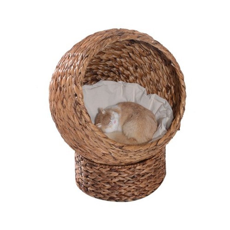 Cama PawHut moderna para gatos color Marrón/Blanco