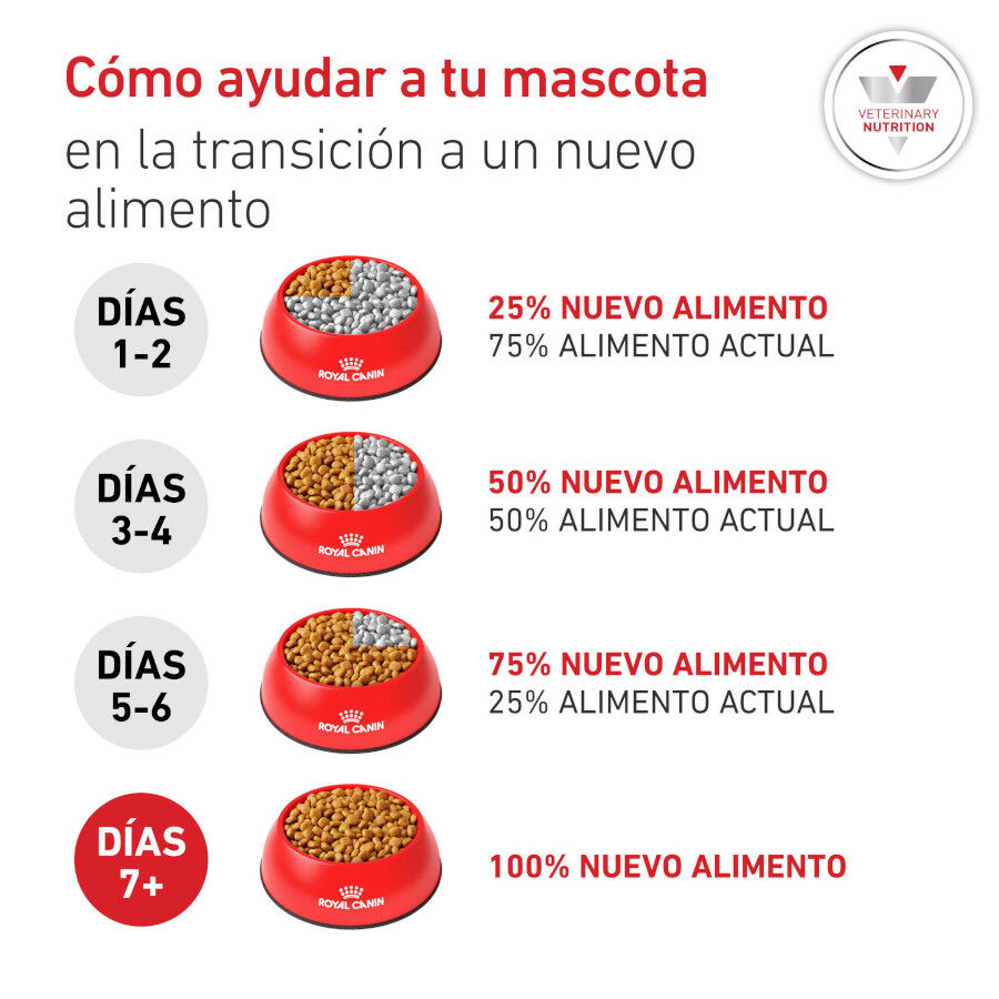 7 kg Royal Canin Veterinary Diabetic pienso para perros, , large Imagen numero 8