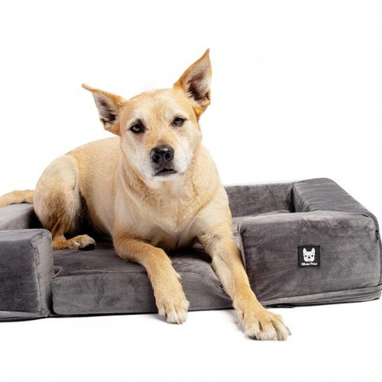Patasbox milo cama ortopédica viscoelástica gris para perros, , large image number null