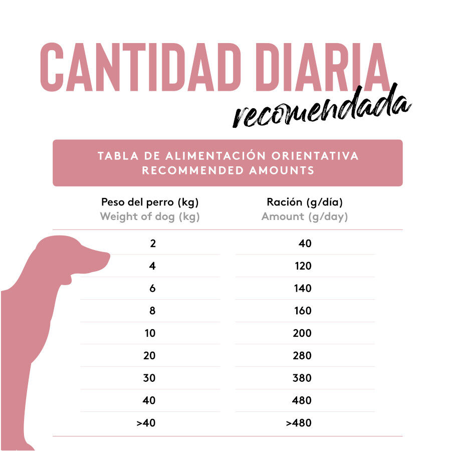 Pienso Dibaq Sense Grain Free para perros sabor Cordero, , large Imagen numero 2