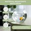 Pecera transparente 4L PET ecológico Peces pequeños Fácil limpieza Jardín acuático Nemo, , large indicador imagen numero 4