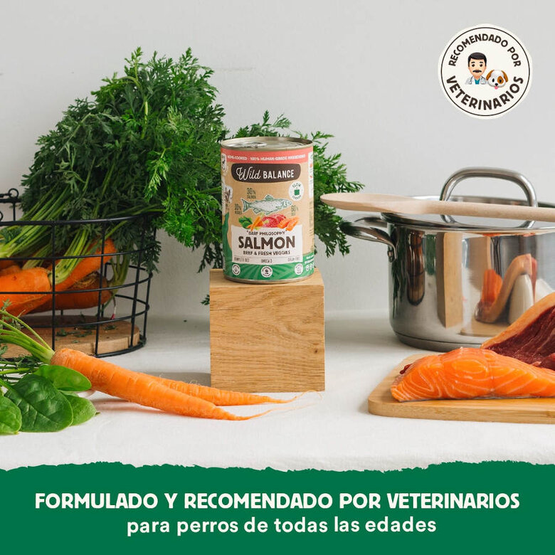 Wild Balance BARF Salmón y Ternera lata para perros, , large image number null