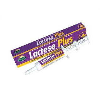 Mervue Lactese Plus Refuerza el ácido láctico para caballos