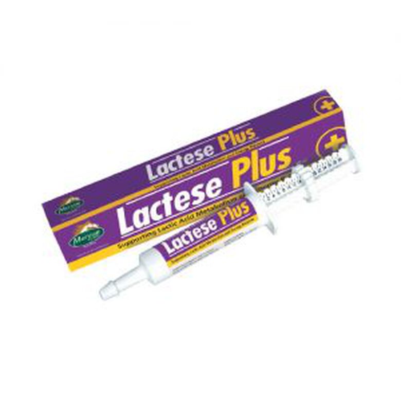 Mervue Lactese Plus Refuerza el ácido láctico para caballos
