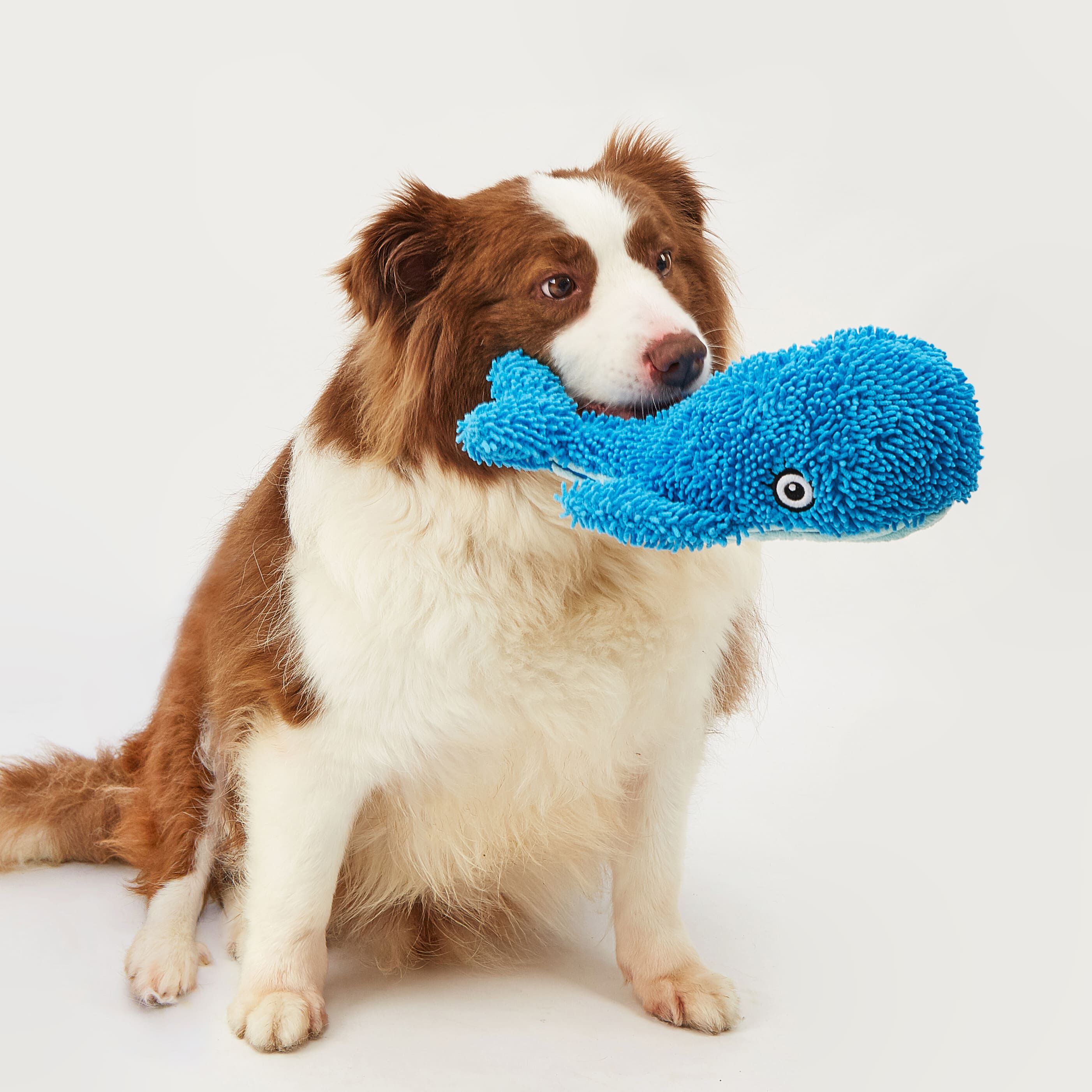 FOFOS | Peluche Ballena Resistente y Suave con Sonido - Para Perro, , large Imagen numero 4