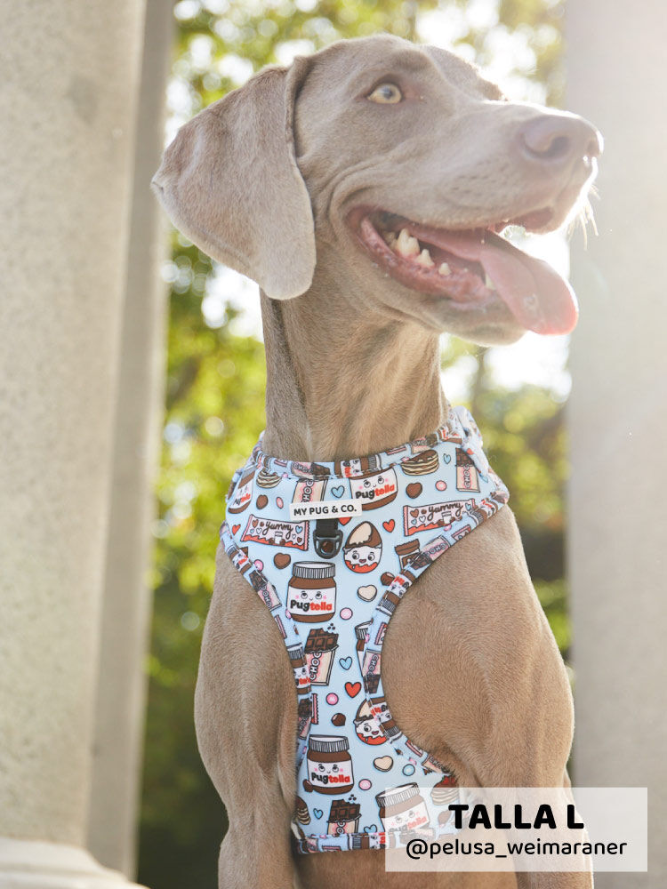 Arn&eacute;s Ajustable Pugtella, , large Imagen numero 2