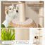 COSTWAY Árbol para Gatos, Torre de Gatos de 150 CM con Postes de Rascado de Sisal, Percha, Condominio, Hamaca, Cojines Lavables, Centro de Actividades para Escalar de 5 Capas, Mueble para Gatos en Interiores, , large indicador imagen numero 3